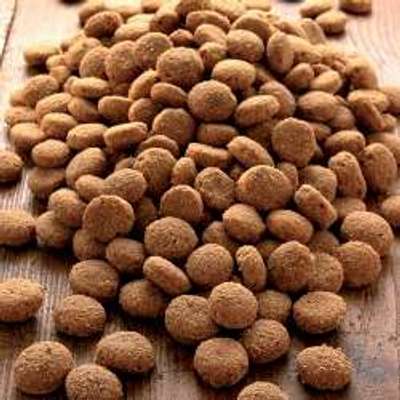 tests-alsa nature Aktiv Spezial Protein-Bild