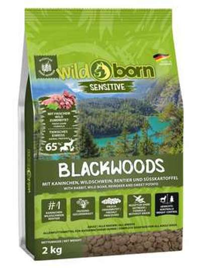 tests-Wildborn Blackwoods-Bild