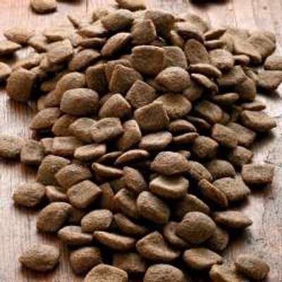 tests-alsa nature Vital Trockenfutter-Bild