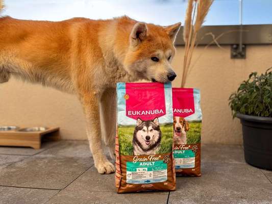 tests-Eukanuba Grain Free Seefisch im Test – Trockenfutter für große & kleine Rassen -Bild