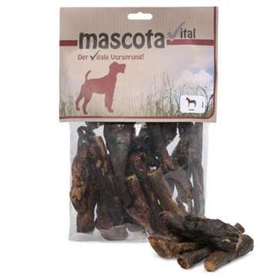 tests-Mascota  vital Pferde-Lunge-Bild