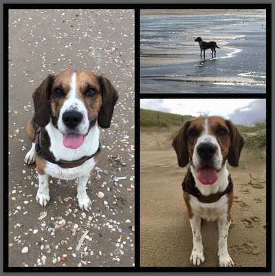 Eure Strandbilder :)-Beitrag-Bild