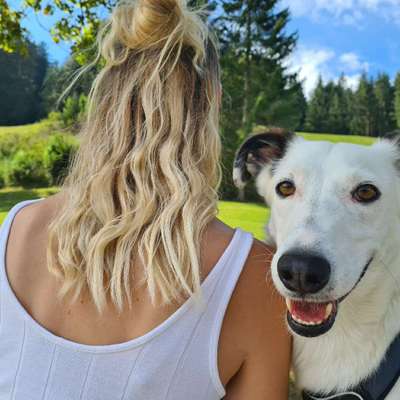 Hundetreffen-Gassi gehen-Profilbild