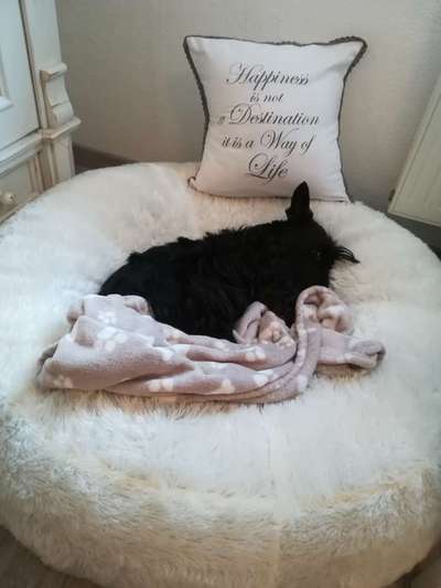 Erfahrung mit Wolkenbett-Beitrag-Bild