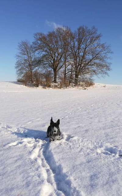 Verspielt-Beitrag-Bild