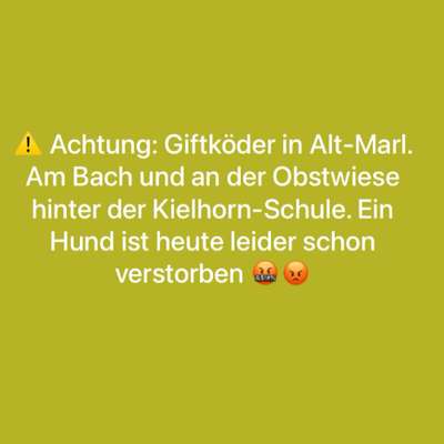 Giftköder-Giftköder in Alt Marl-Bild