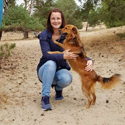 Hundetreffen-Gassirunde in Charlottenburg