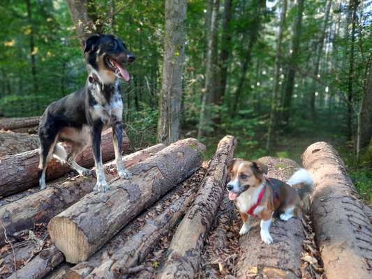 Pubertier-Beitrag-Bild