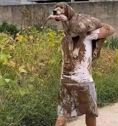 Hundeerziehung großer Hund, kleiner Hund, was ist leichter?-Beitrag-Bild