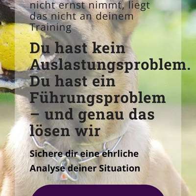 Wenn kein Trainer helfen kann-Beitrag-Bild
