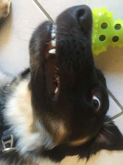 Lieblingsbild-Beitrag-Bild