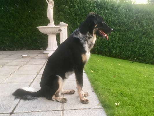 Wie baue ich Zähne putzen richtig auf ?-Beitrag-Bild