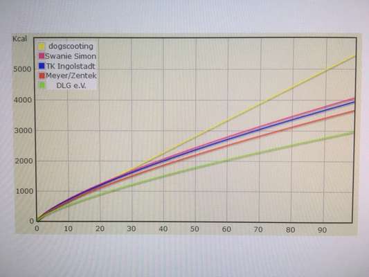Fütterung Nassfutter-Beitrag-Bild