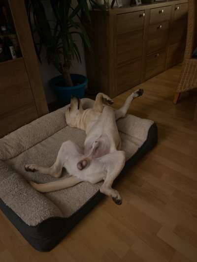 Fotochallenge Nr.65-Beitrag-Bild