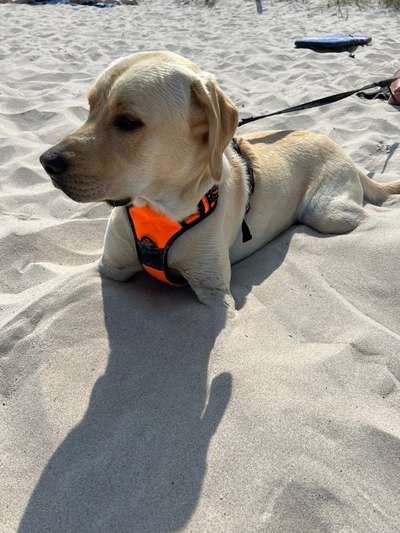 Fotochallenge Nr.100 Urlaubsimpressionen-Beitrag-Bild