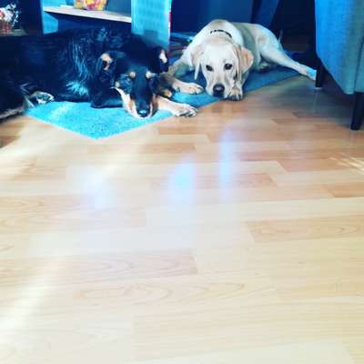 Fotochallenge Nr. 67: Euer Lieblingsbild-Beitrag-Bild