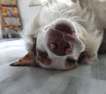 Das beste grinsefoto-Beitrag-Bild