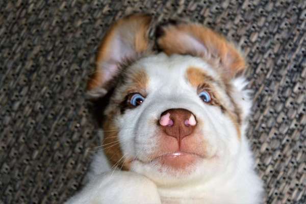 Lieblingsbild-Beitrag-Bild