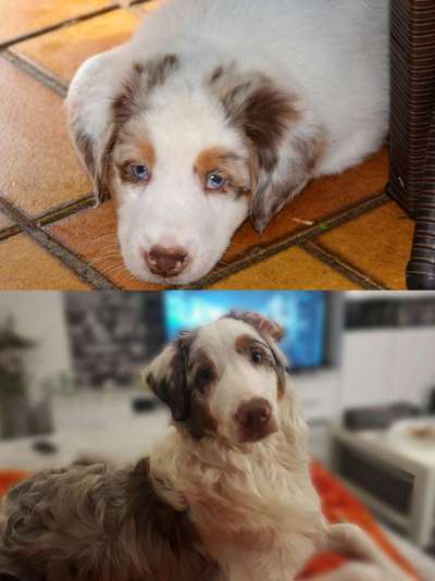 Vorher.... Nachher-Beitrag-Bild