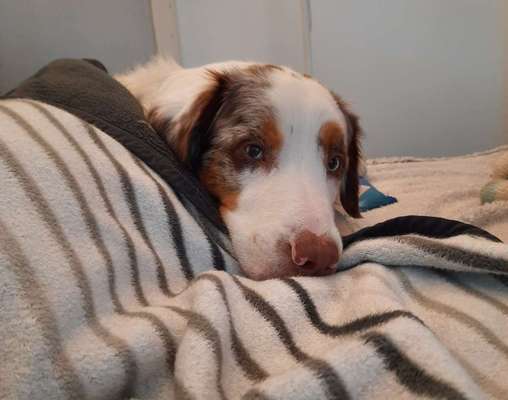 Schlafzeit!💖-Beitrag-Bild