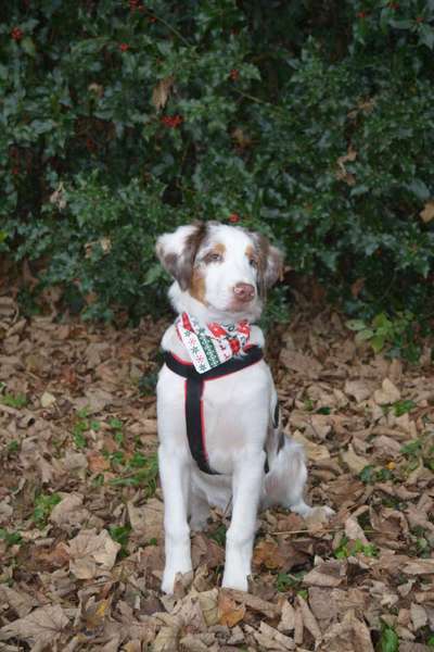 Fotochallenge Nr. 29 - Accessoires-Beitrag-Bild