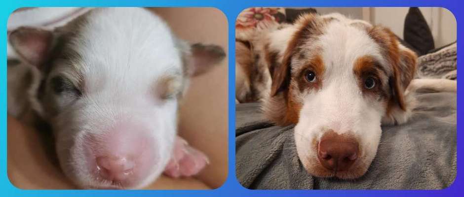 Vorher.... Nachher-Beitrag-Bild