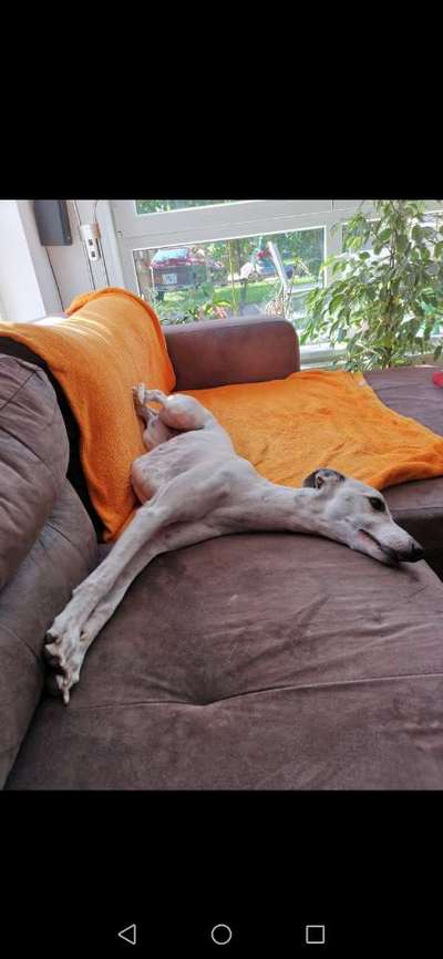 Die unbequemsten und lustigsten Schlafpositionen-Beitrag-Bild