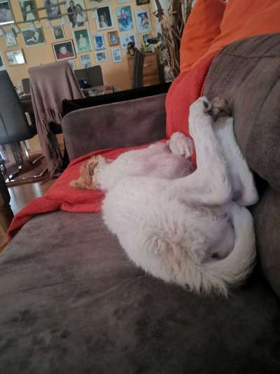 Die unbequemsten und lustigsten Schlafpositionen-Beitrag-Bild