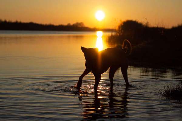 18. Farben Fotochallenge: Sonnenuntergang-Beitrag-Bild