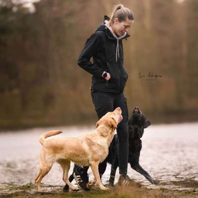 Hundetreffen-Wandern-Profilbild
