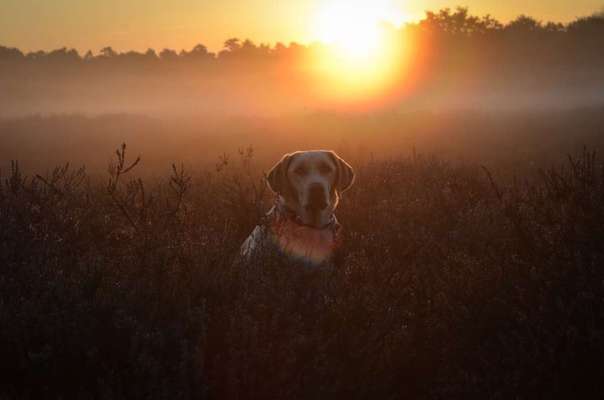 18. Farben Fotochallenge: Sonnenuntergang-Beitrag-Bild