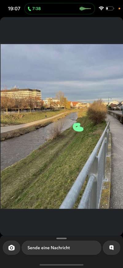 Giftköder-Cuttermesser-Bild