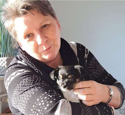 Wie kamst du zu deinem Hund?-Beitrag-Bild