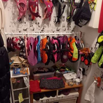 Zeigt her eure Gassi-Stationen =)-Beitrag-Bild