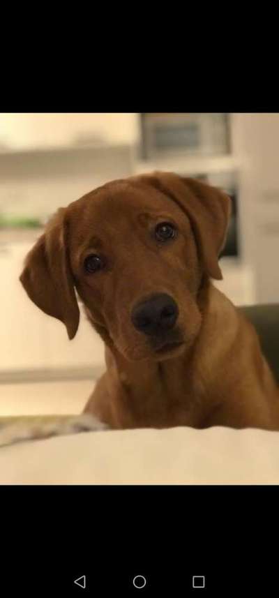 Geschwister Gesucht-Beitrag-Bild