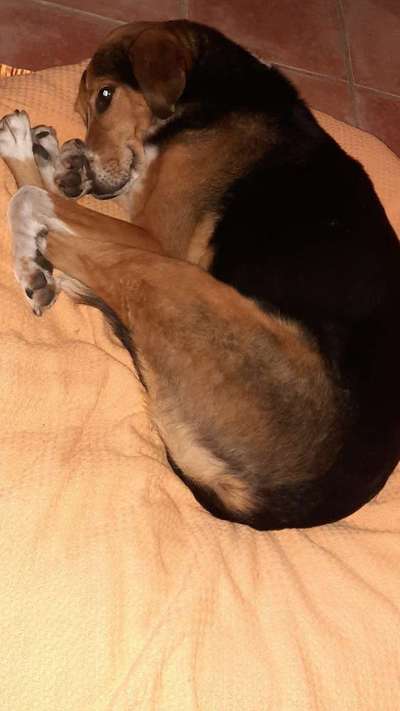 Foto Challenge Nr. 134-Beitrag-Bild