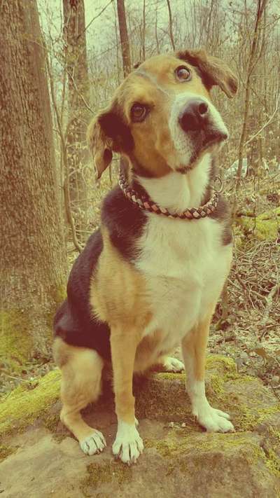 FarbenFoto - Challenge: Sepia-Beitrag-Bild