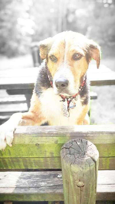 17. Farben Foto Challenge: Pastellfarben-Beitrag-Bild