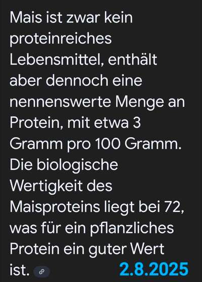 Futterumstellung wegen Allergie-Beitrag-Bild