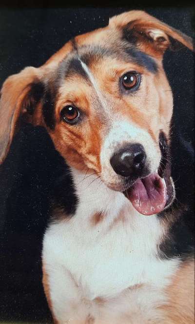 Austausch zur Fotografie-Beitrag-Bild