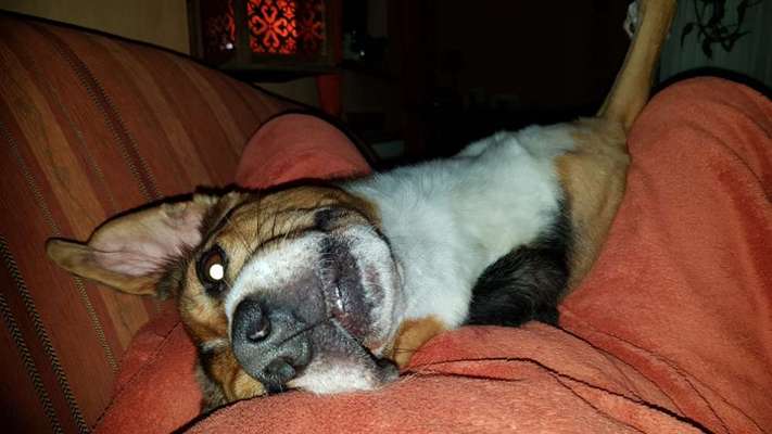 11. Farben Foto Challenge Rot-Beitrag-Bild