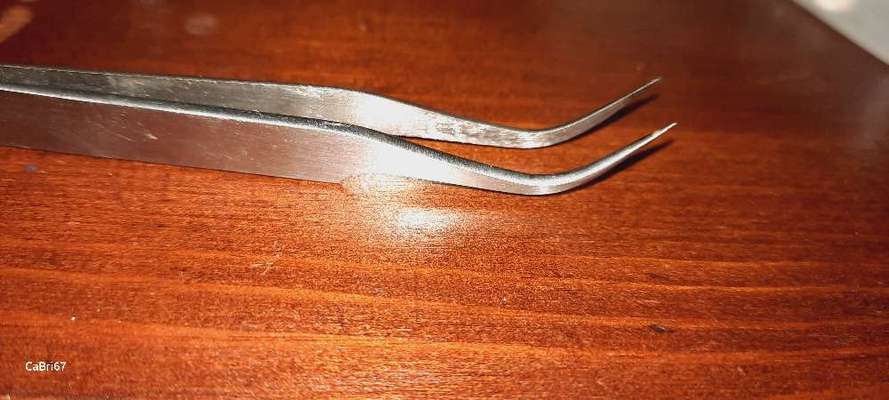 Zecken raus bekommen-Beitrag-Bild