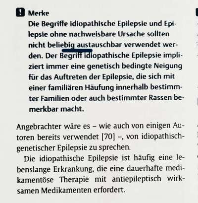 Epilepsie-Beitrag-Bild