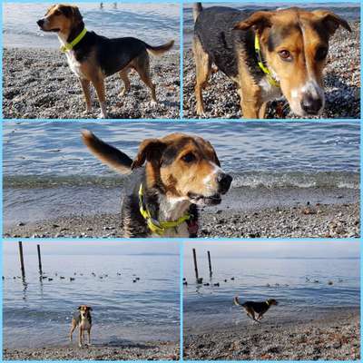 37. Collagen Challenge- Am Strand-Beitrag-Bild