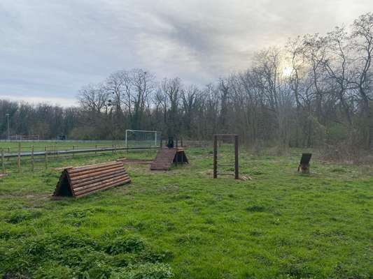 Hundeauslaufgebiet-Kleiner Hundeparcours-Bild