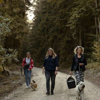 Giftköder-Gruppentraining-Bild