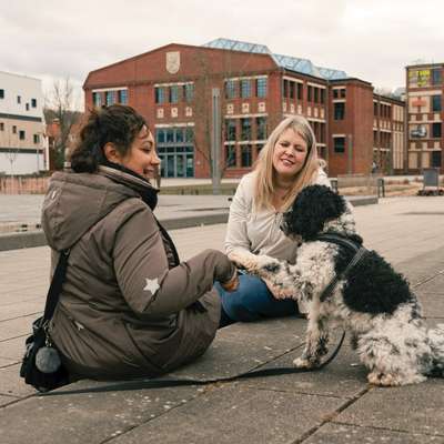 Giftköder-Erstberatung-Bild