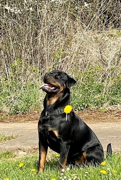 Fotowettbewerb zum Thema "Sonne"-Beitrag-Bild