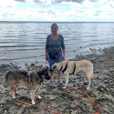 Hundetreffen-Hundebegegnungen-Profilbild