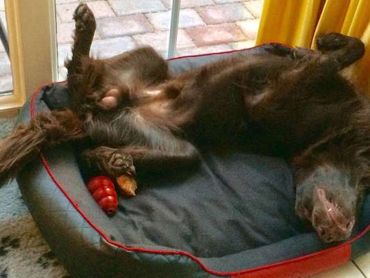 Die unbequemsten und lustigsten Schlafpositionen-Beitrag-Bild